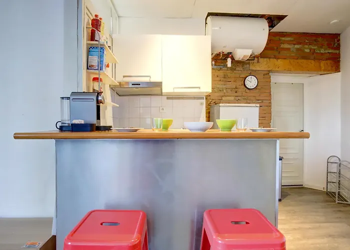 Appartement Le Petit Strasbourg Hypercentre Toulouse