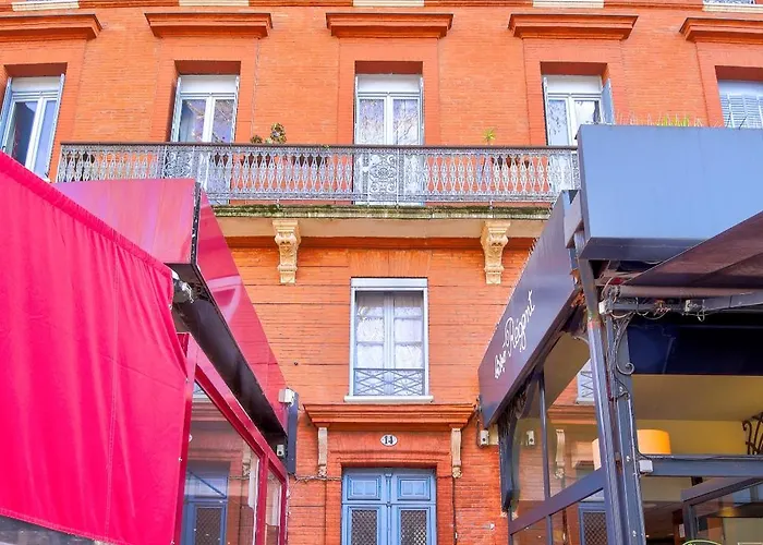 Le Petit Strasbourg Hypercentre Apartament Tuluza