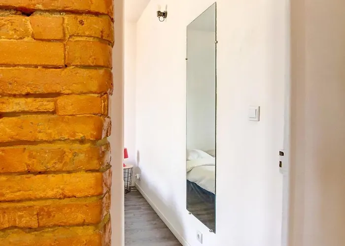 Apartament Le Petit Strasbourg Hypercentre Tuluza